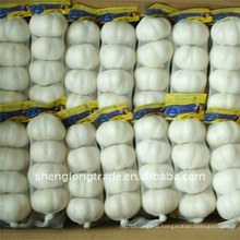 Chinese pure white garlic in the small packing